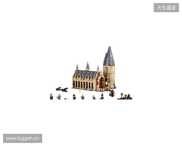 安东内拉：爱拼霍格沃茨城堡，家里有类似博物馆空间放乐高